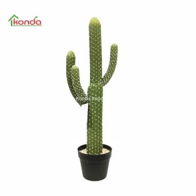  Decorazione del giardino Cactus artificiale succulento