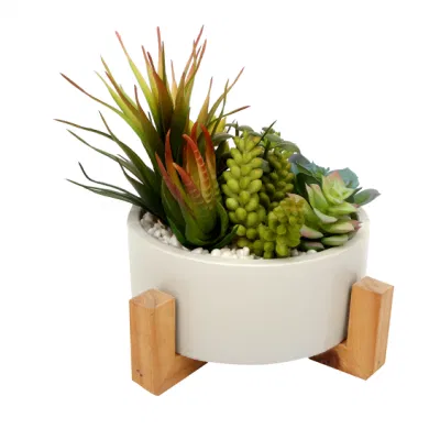  Vendita all&prime;ingrosso su misura piccole piante artificiali succulente in fiore di cemento Pentola