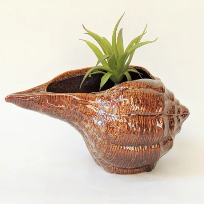  Ceramica Conch Shell Succulent Flower Pot Seashell Planter piante decorazione