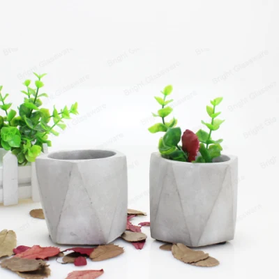  Cemento di stile nordico calcestruzzo succulente Cactus Planter Pot