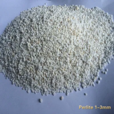  Fiore Giardinaggio substrato di pianta Perlite espanso per Succulents