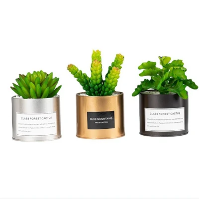  Mini Succulent plastica artificiale con speciale design di Pot dorato