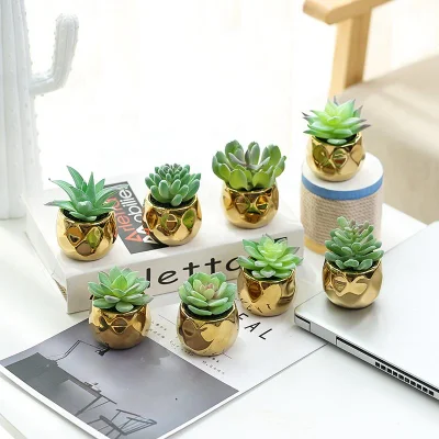  Faccia piante succulente artificiale per decorazione domestica di decorazione di partito