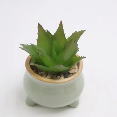  2023 nuovo progetto impianto artificiale Succulente con Planter in ceramica Pot