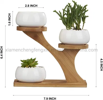 Planter Pots Indoor, 3 Pack 3 pollici Bianco Ceramica decorazione piccolo rotondo Succulent Cactus fiore Pot pianta con albero livello Bamboo Stand per Garden Kitchen Casa di
