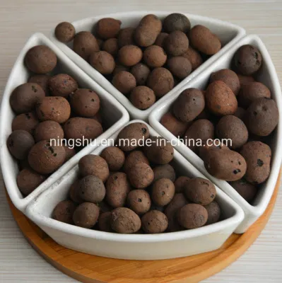  8-16 mm Pebble di argilla espansa Hydroton per idroponica, Aquaponics, Orchidee