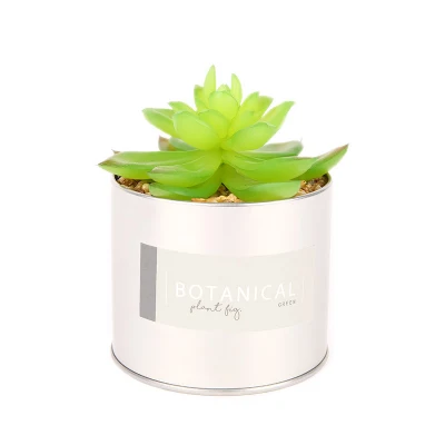  Pianta smaltata Bonsai ceramica fiore Pot