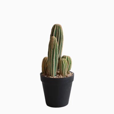 Vendita all&prime;ingrosso succulenti Cactus piante artificiali decorazione interna ed esterna artificiale Pianta Cactus Bonsai