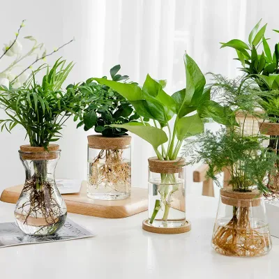  Forniture di fabbrica basso prezzo Tall Casa cilindro moderno nordico decorazioni di nozze Vaso in vetro borosilicato trasparente con vetro flower e sughero