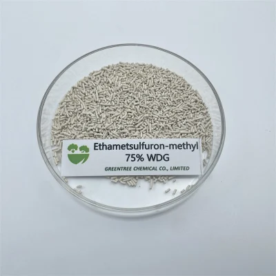 CAS 97780-06-8 Agrochimici erbicida Etametsulfuron-metile 75% wdg