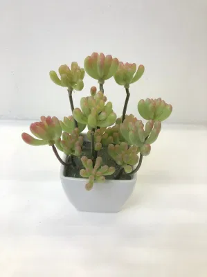  Colorful Plastic Decorative piante succulente artificiali per tavolo da ufficio domestico