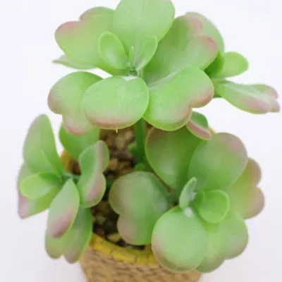  Decorativo Faux succulente Simulazione artificiale piante Fake Succulent pianta con Set di pentole