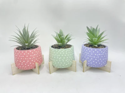  Faux in vaso Succulent con base in legno