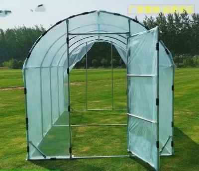  6m X 3mtunnel tipo e Succulent pianta Sun Room, Family Garden Greenhouse