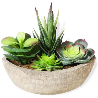  Simulazione plastica all&prime;ingrosso pianta artificiale assortita Succulenti artificiali in Pot