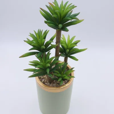  Commercio all&prime;ingrosso piante artificiali Bonsai Real Touch impianto artificiale Faux Succulent Piante