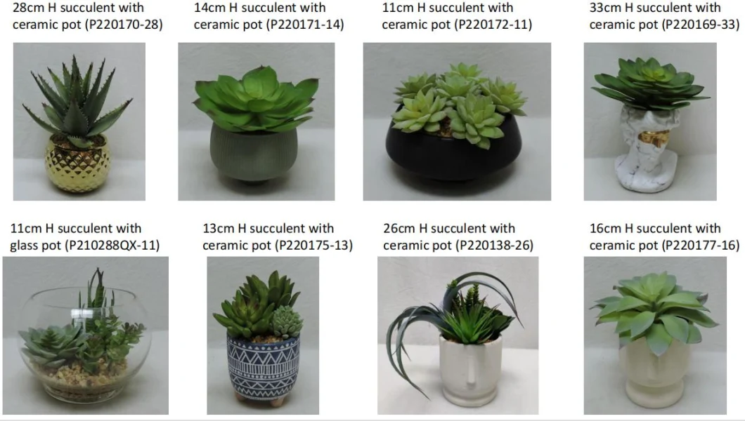 Artificial Potted Mix Succulents for Home Decor 13cm H