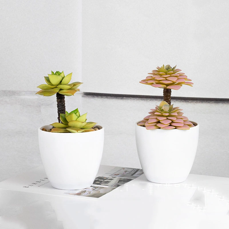 Small Succulents Plants Artificial with Plastic Potted Set of 4