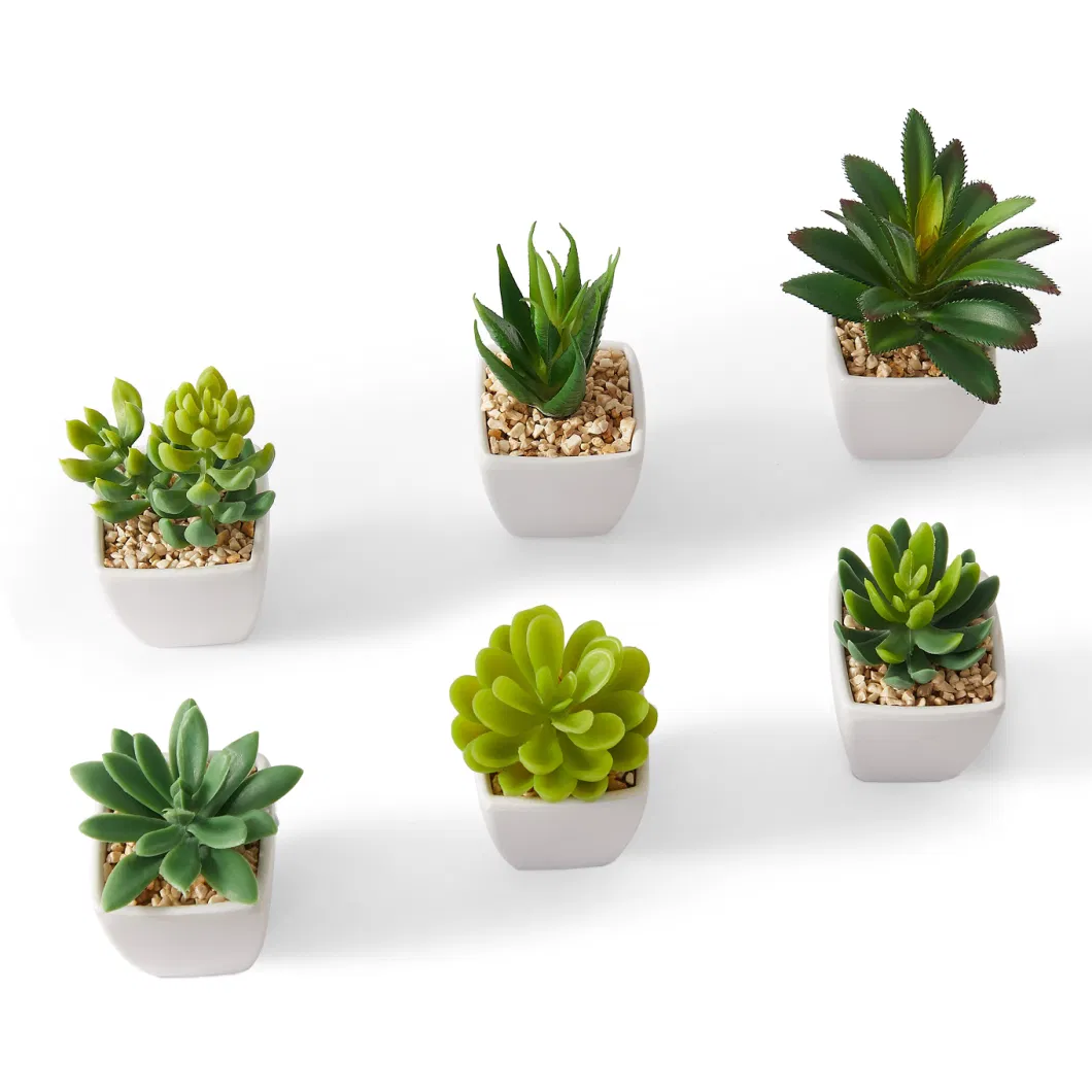 Mini 6 Sets Artificial Succulent Plants in White Pots,Fake Small Fake Plants, Faux Mini Succulents Plants Indoor for Desk Living Room Bedroom Windowsills Office