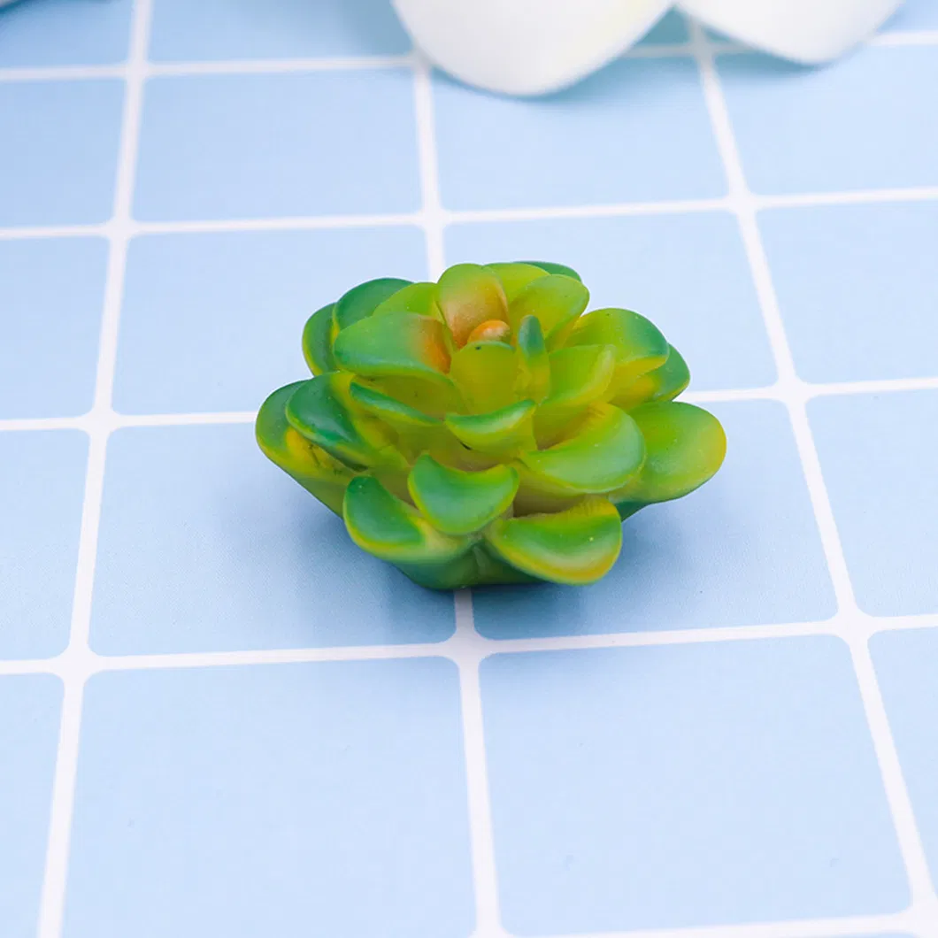 Funny 3D Resin Succulent Fridge Refrigerator Magnets Set of 8