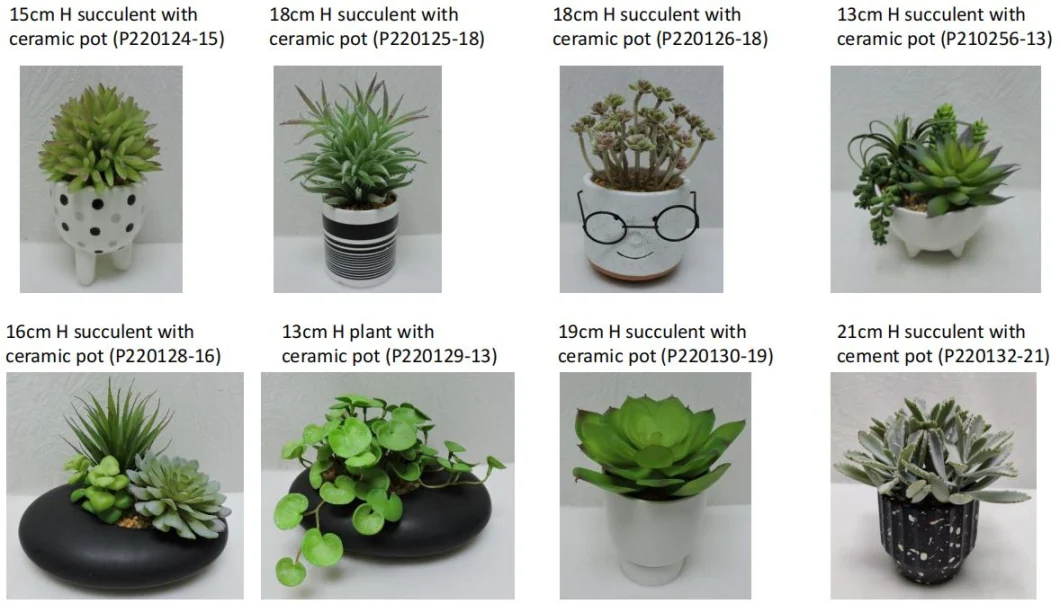 Artificial Potted Succulents in Cement Pot 16cm H