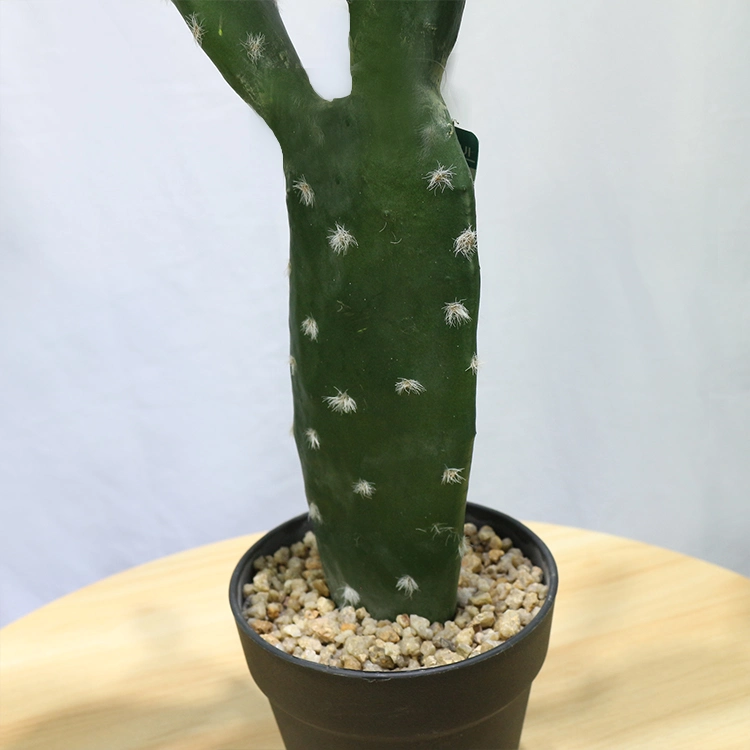 American Home Decor 87cm Tufting Flat Cactus Plantas Crasas Mini Cactus Plants for Sale