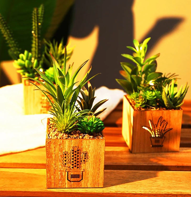 Set of 3 Artificial Succulents with LED Lights Wooden Box