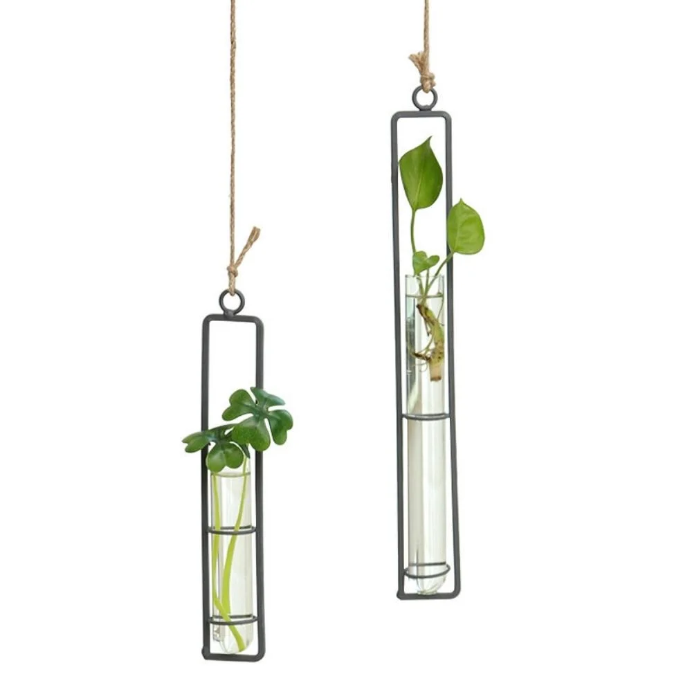 Clear Glass Test Tube Flower Vases Wall Hanging Air Plant Transparent Wbb21898