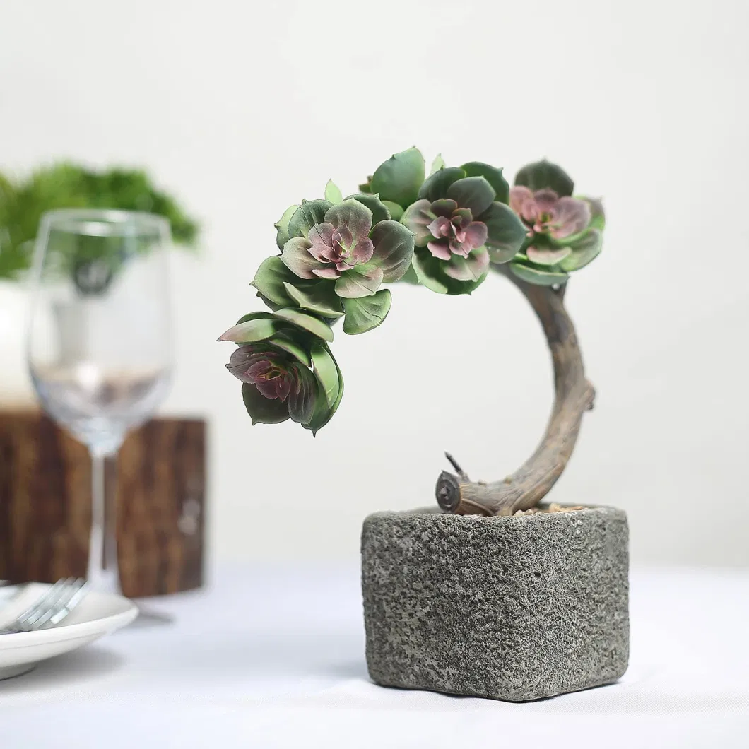 Concrete Planter Pot and Willow Tree Succulent Palnt 2023 Design Artificial Plant