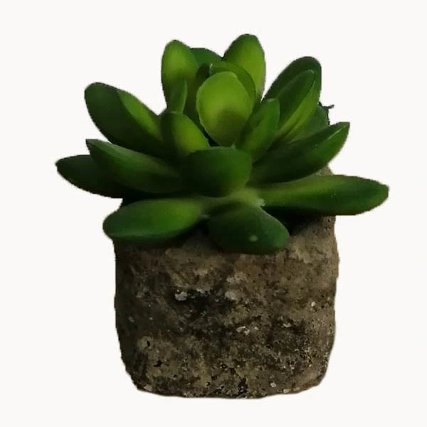 7cm H Mini Indoor Fake Green Potted Succulent for Office Decoration