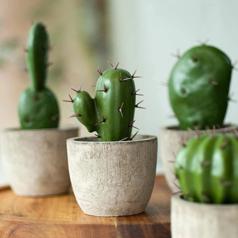 Artificial Succulent Plants Faux Cactus Decor for Home Decor Shelf Office Table Desk Bedroom House Decorations Mini Cute Potted Decorations Set of 4