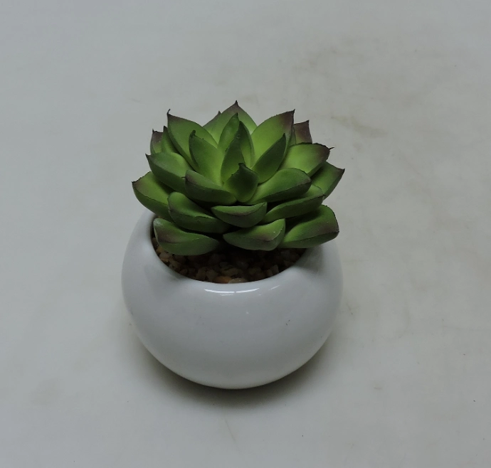 Artificial Pot Plant Mini Succulent