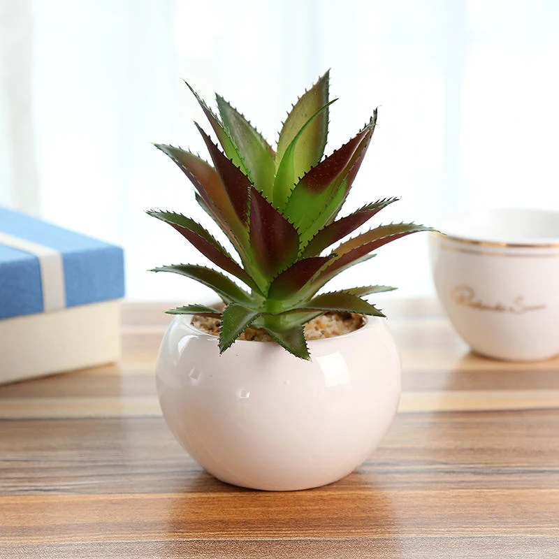 Artifical Succulent Plants with Ceramic Pot Home Decoration