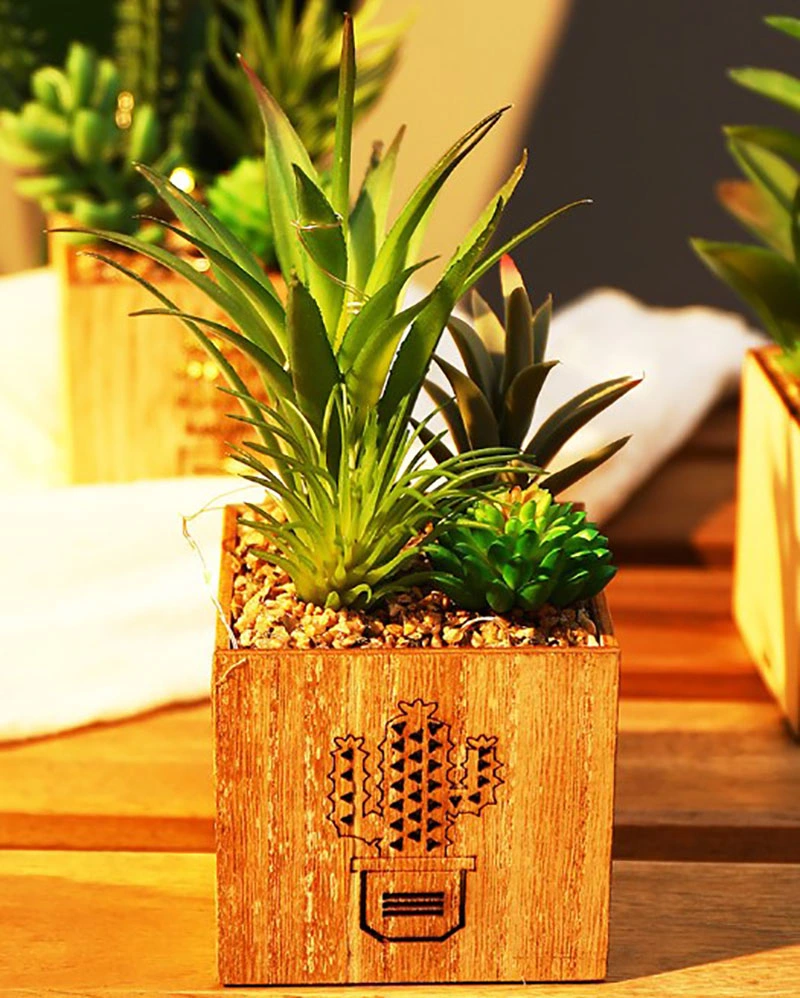 Set of 3 Artificial Succulents with LED Lights Wooden Box