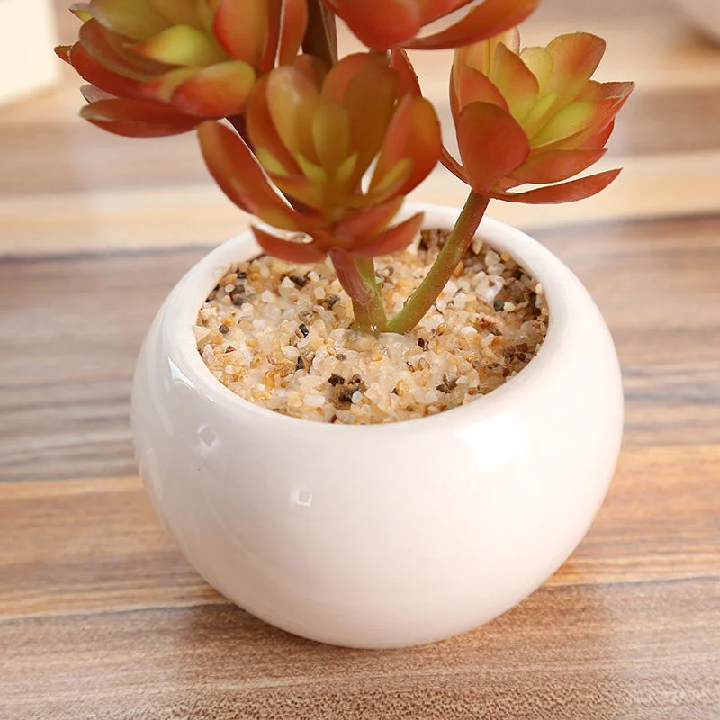 Artifical Succulent Plants with Ceramic Pot Home Decoration