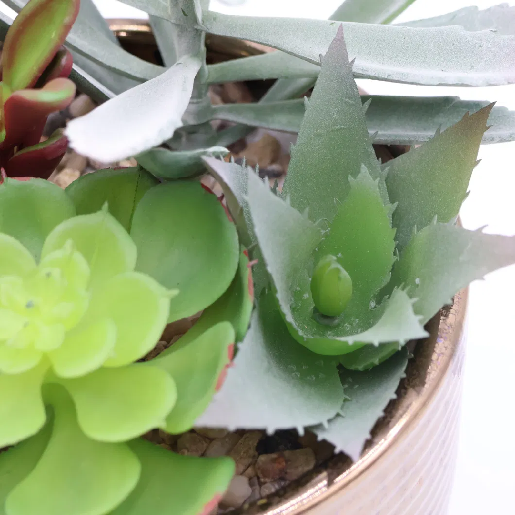 High Quality Artificial Mix Various of Succulent for Home Decorative