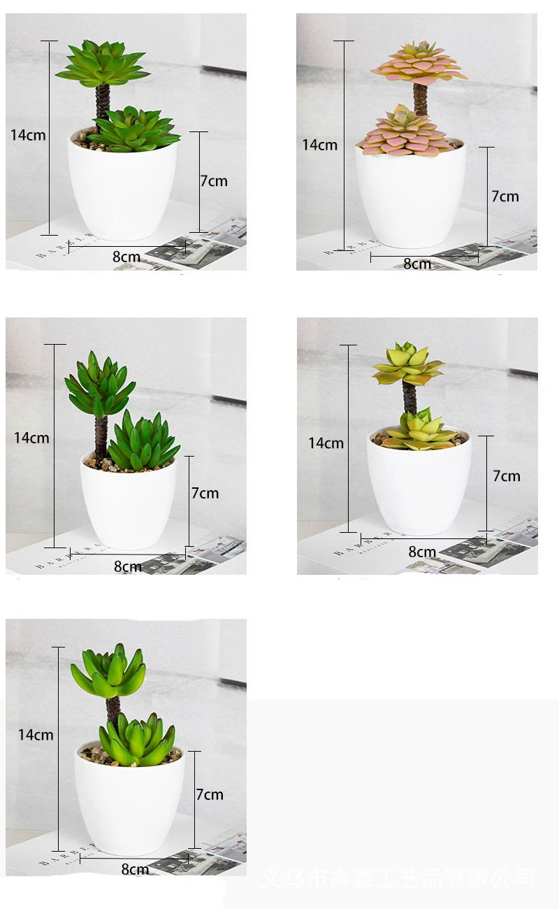 Small Succulents Plants Artificial with Plastic Potted Set of 4