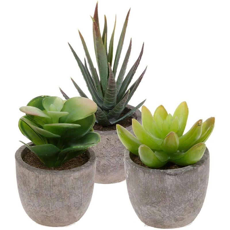 3PCS Decorative Faux Succulent Artificial Succulent Fake Simulation Plants with Pots Set