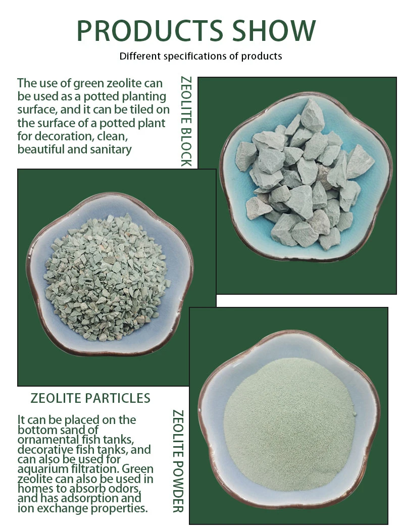 Pietra Green Zeolite Granular for Succulent Plant Landscaping