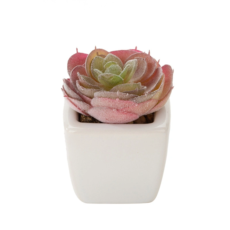 Indoor Design Brilliant White Ceramic Succulent Pots Customized Planter