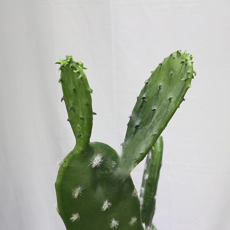 American Home Decor 87cm Tufting Flat Cactus Plantas Crasas Mini Cactus Plants for Sale