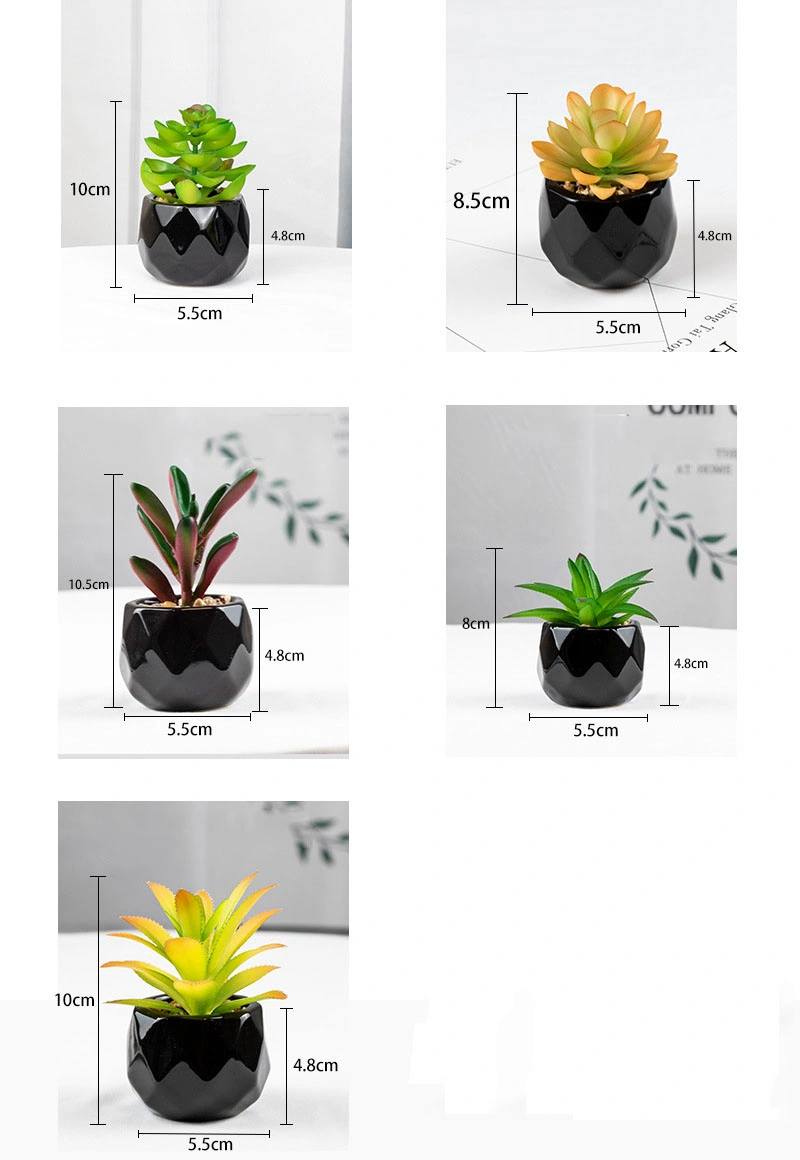 Mini Artificial Succulent Plants in Black Geometric Ceramic Planter Pots
