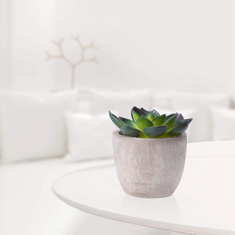 Assorted Decorative Faux Succulent Potted Fake Cactus Cacti Succulent Plants with Gray Pots, Set of 5
