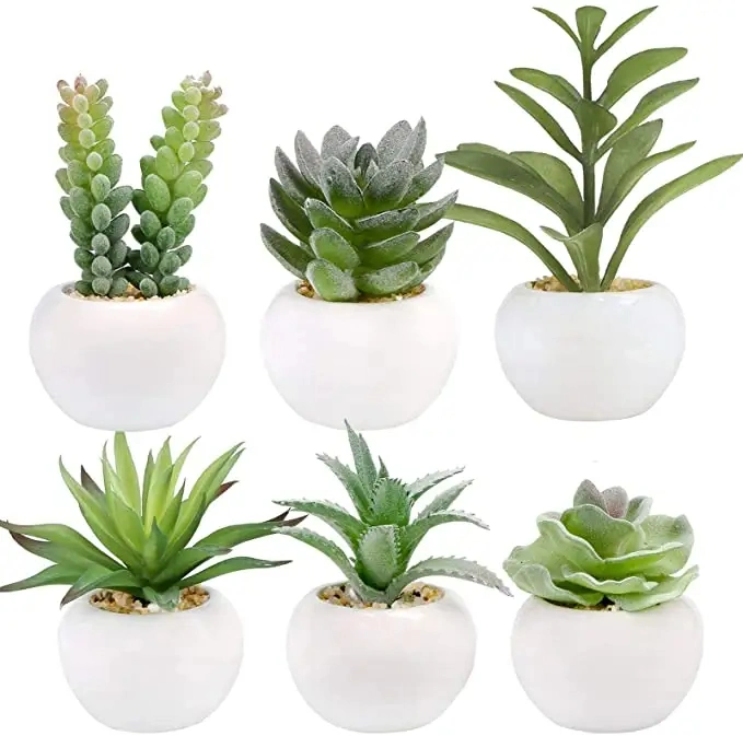 Wholesale Succulents Plants Artificial in White Ceramic Pots Small Fake Succulents Plants