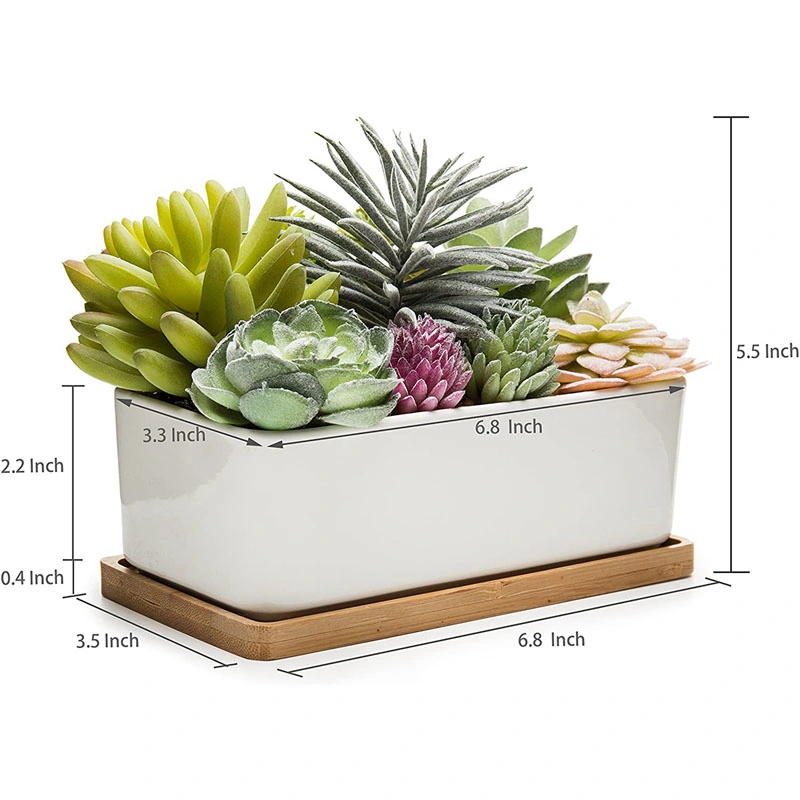Potted Artificial Succulents in Ceramic Pot with Bamboo Tray