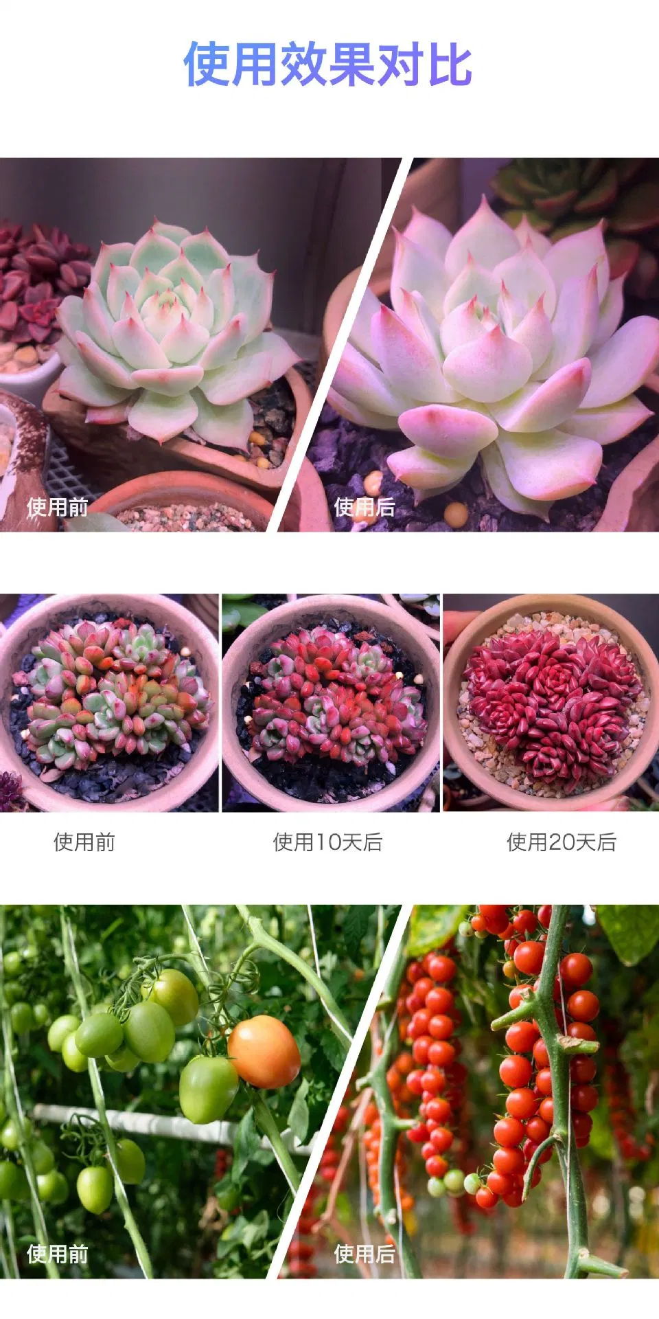 Multi-Clip Plant Light Flower Timing Dimming Light Full Spectrum Succulent LED Plant Grow Light