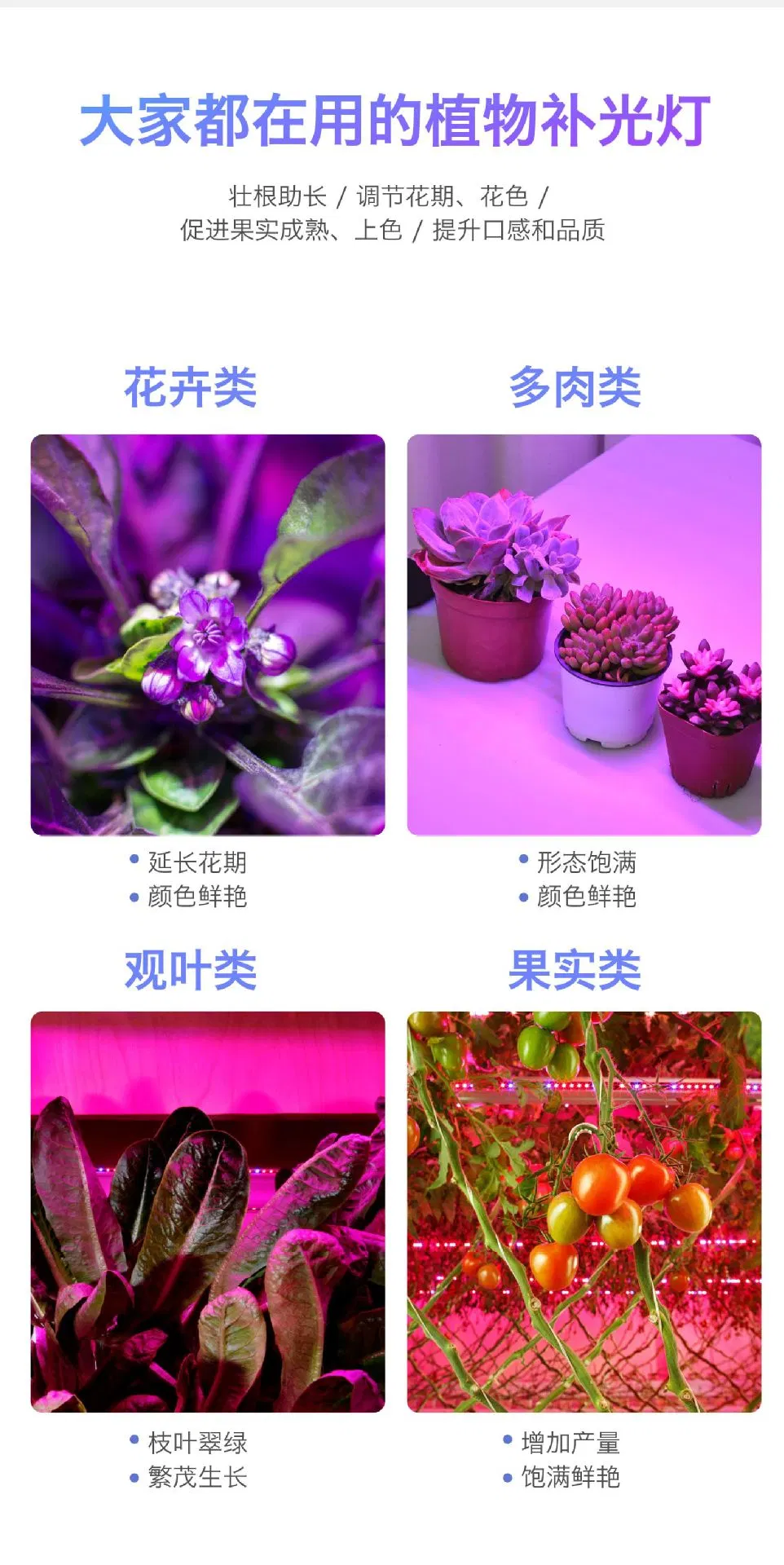 Multi-Clip Plant Light Flower Timing Dimming Light Full Spectrum Succulent LED Plant Grow Light