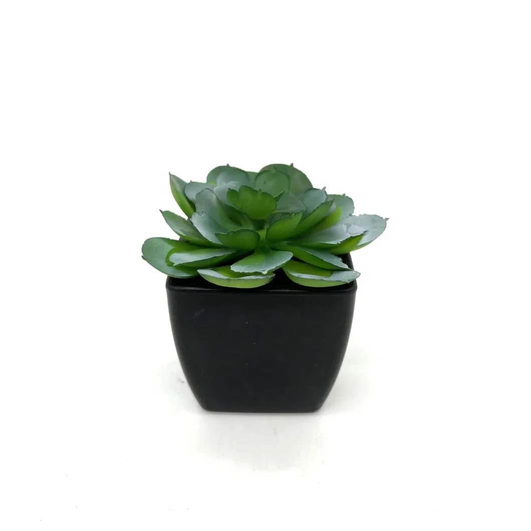 Simulation Succulents Small Potted Plants Indoor Placed Fake Flowers Green Plant Ornaments