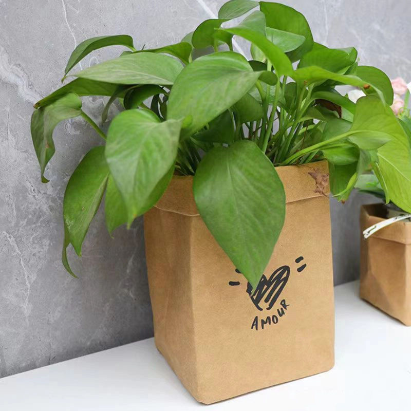 Kraft Paper Planter Pots for Indoor Plants - Kraft Paper Bag Planter - Reusable Paper Bag Organiser&Flower Pot - House Plants Planter&Succulent Plant Planter