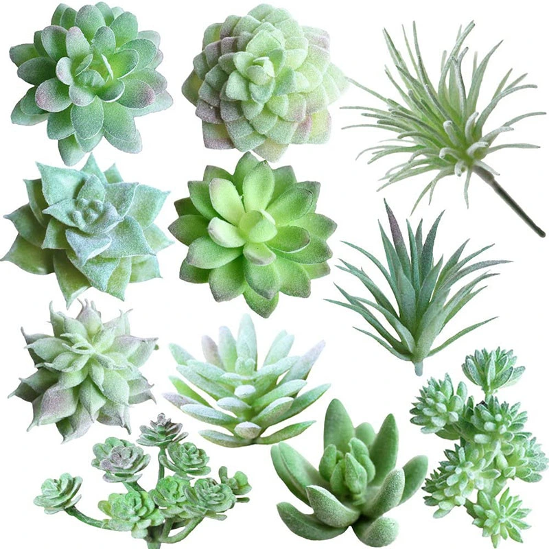 11 PCS Mini Artificial Succulents Picks Unpotted Faux Succulent Assortment in Flocked Green in Different Type Different Size Succulents Echeveria Agave